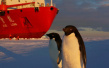 雪龙号科考船在南极卸货 引企鹅围观